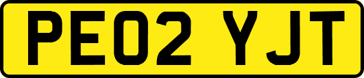 PE02YJT