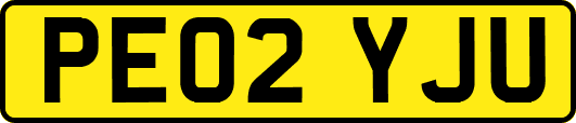 PE02YJU