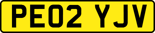 PE02YJV