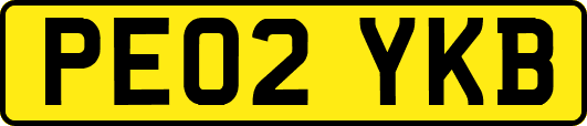 PE02YKB