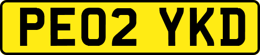PE02YKD