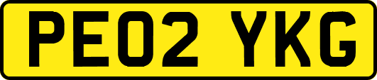 PE02YKG