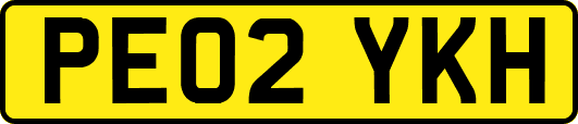 PE02YKH