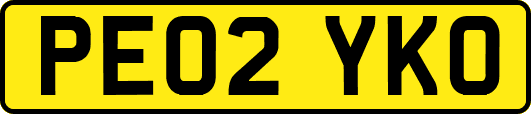 PE02YKO