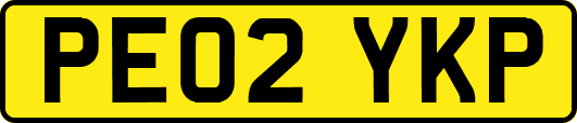 PE02YKP