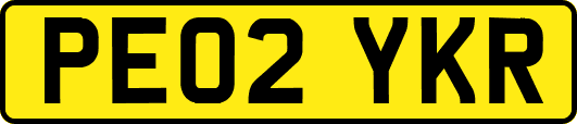 PE02YKR