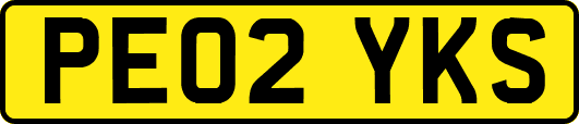 PE02YKS