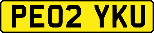 PE02YKU