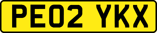 PE02YKX