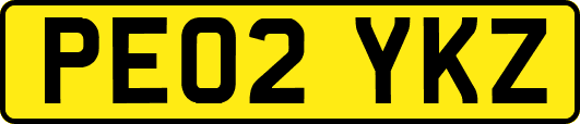 PE02YKZ