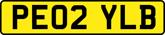 PE02YLB