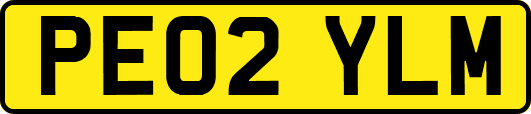 PE02YLM