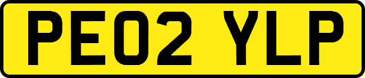 PE02YLP