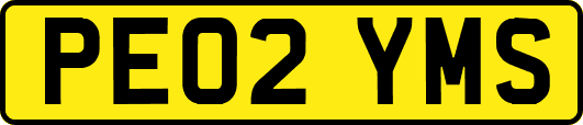 PE02YMS