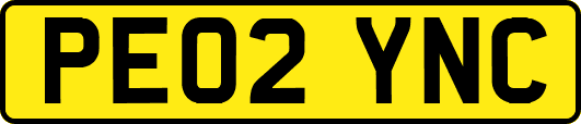 PE02YNC