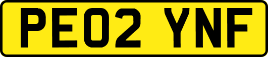 PE02YNF
