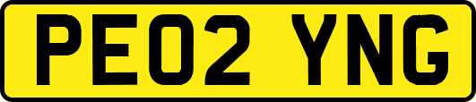 PE02YNG