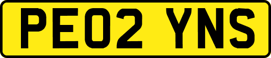 PE02YNS