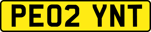 PE02YNT