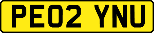 PE02YNU