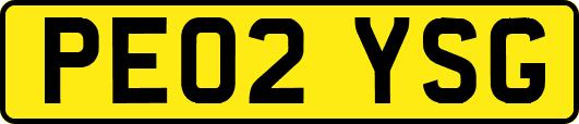 PE02YSG