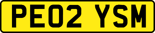 PE02YSM