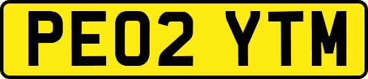 PE02YTM