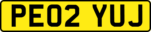PE02YUJ