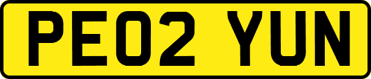 PE02YUN
