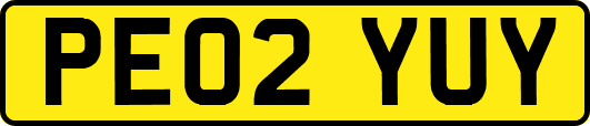 PE02YUY