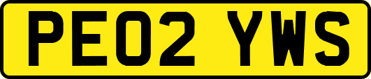 PE02YWS