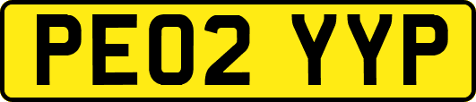 PE02YYP