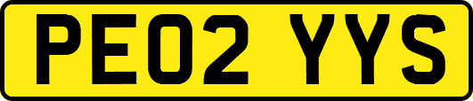 PE02YYS