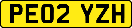 PE02YZH