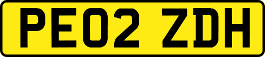 PE02ZDH