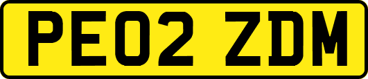 PE02ZDM