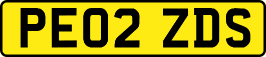 PE02ZDS