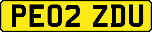 PE02ZDU