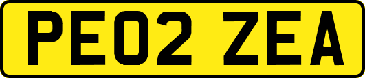 PE02ZEA