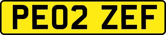 PE02ZEF