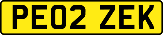 PE02ZEK