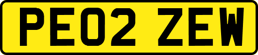PE02ZEW