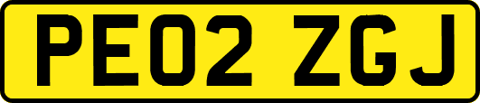 PE02ZGJ
