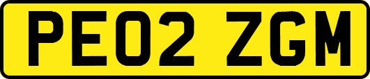 PE02ZGM