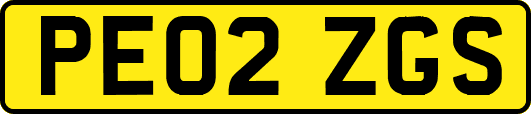 PE02ZGS