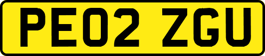 PE02ZGU