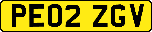 PE02ZGV