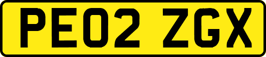 PE02ZGX