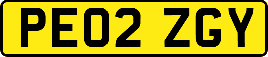 PE02ZGY