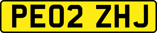 PE02ZHJ